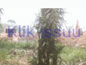 Tambang Ilegal di Kawasan Hutan Lindung